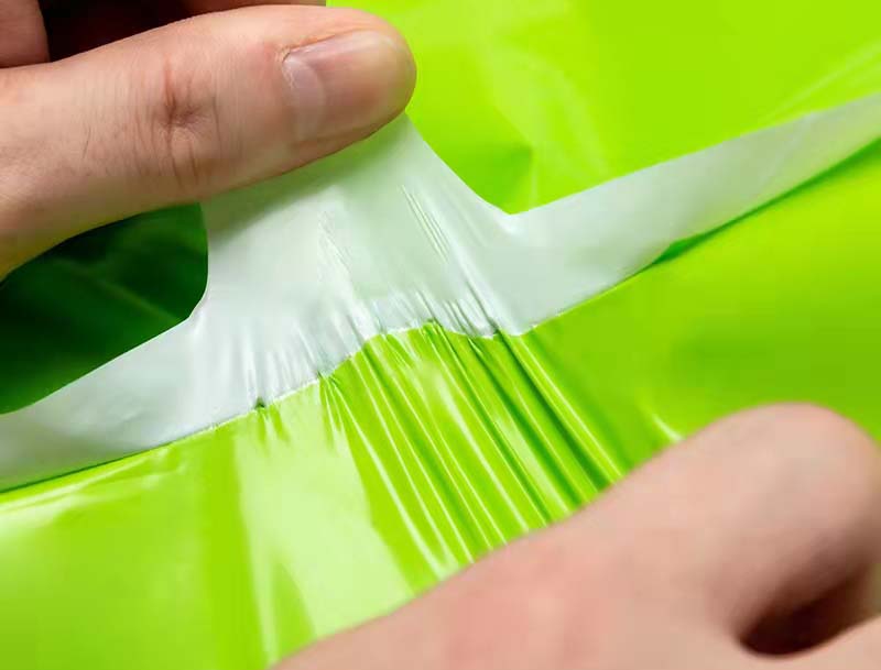 达坂城果绿色快递袋-05